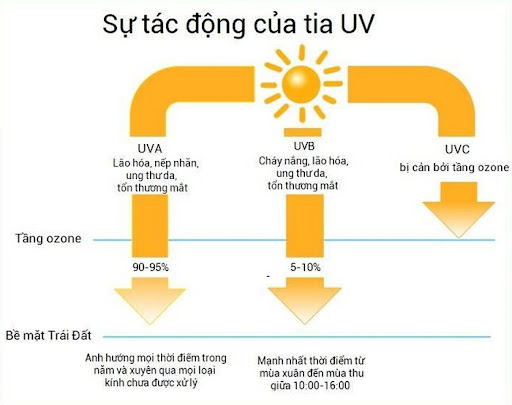 Sử dụng sáp chống nắng chứa thành phần chống UVA và UVB